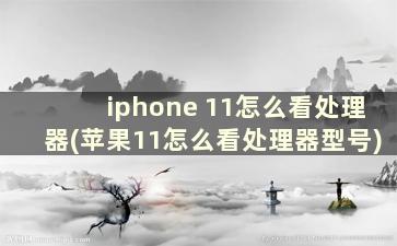 iphone 11怎么看处理器(苹果11怎么看处理器型号)